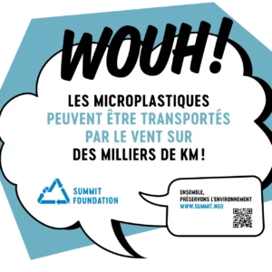 WOUH! FR - Prestito